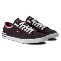 Tommy Hilfiger Harrington 5D2 M shoes FM0FM00543-403 (43)