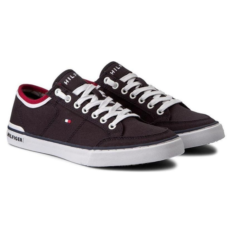 Tommy Hilfiger Harrington 5D2 M shoes FM0FM00543-403 (43)