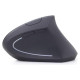 Gembird MOUSE USB OPTICAL WRL BLACK/ERGONOMIC MUSW-ERGO-01 GEMBIRD