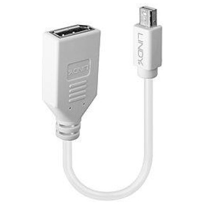 Lindy ADAPTER MINI DP TO DP/0.2M 41021 LINDY