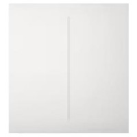 Ajax SMART CENTERBUTTON 2GANG/WHITE 45116 AJAX