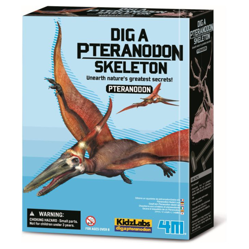 4M Izrakuma komplekts Pteranodons