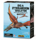 4M Izrakuma komplekts Pteranodons