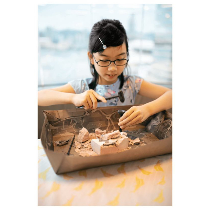 4M Izrakuma komplekts Pteranodons