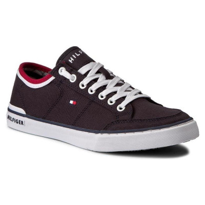 Tommy Hilfiger Harrington 5D2 M shoes FM0FM00543-403 (44)