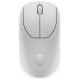 Dell MOUSE USB OPTICAL WRL GAMING/LUNAR LIGHT 545-BBFN DELL