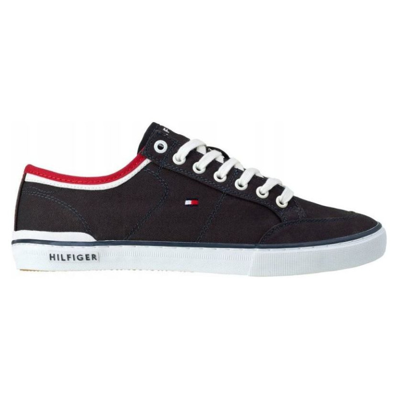 Tommy Hilfiger Harrington 5D2 M shoes FM0FM00543-403 (45)