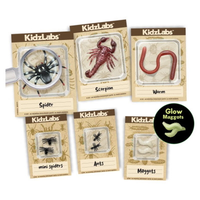 4M Creepy Crawly rak&scaron;anas komplekts