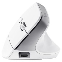 Trust MOUSE USB OPTICAL WRL BAYO+/ERGONOMIC WHT 25399 TRUST