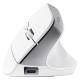 Trust MOUSE USB OPTICAL WRL BAYO+/ERGONOMIC WHT 25399 TRUST