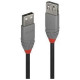 Lindy CABLE USB2 TYPE A 1M/ANTHRA 36702 LINDY