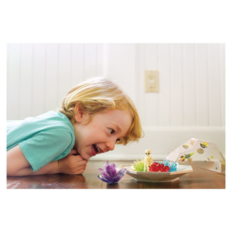 4M Crystal Growing DIY komplekts Kosmoss kristāla terārijā