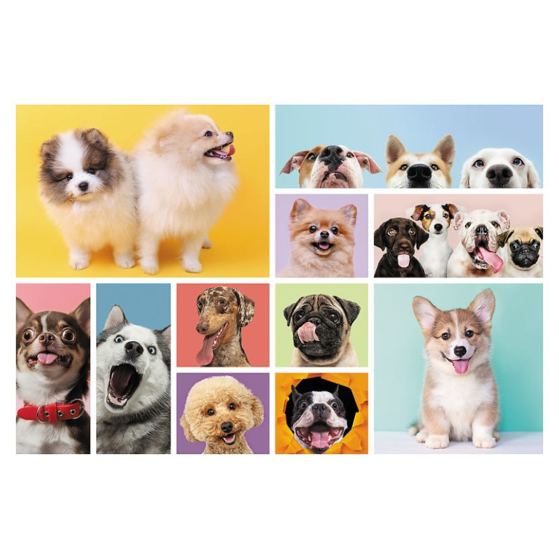 Trefl Puzle Suņi, 160 gab.