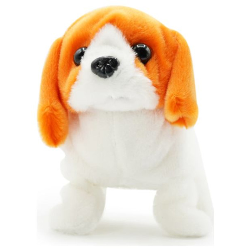 Pugs At Play Staigājo&scaron;s suns "Buddy"