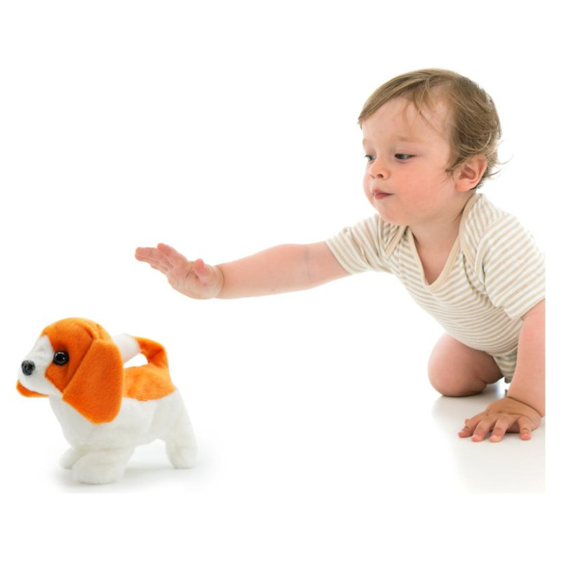 Pugs At Play Staigājo&scaron;s suns "Buddy"