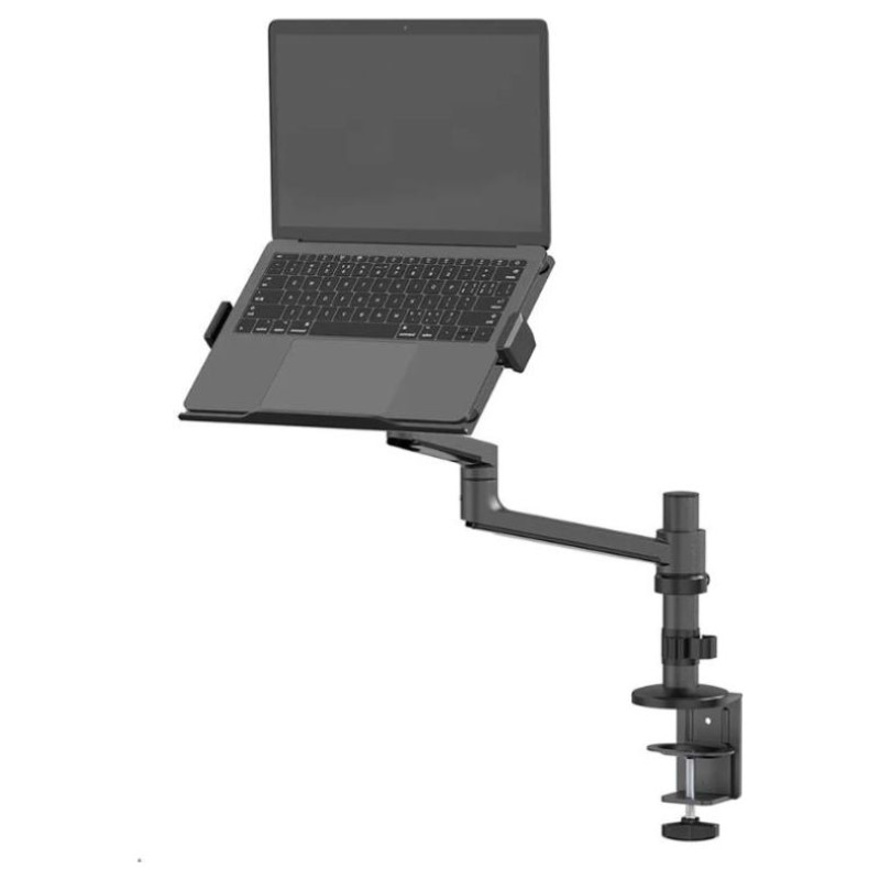 Neomounts NB ACC DESK STAND 11.6-17.3"/DS20-425BL1 NEOMOUNTS