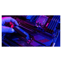 Crucial SSD|CRUCIAL|T700|1TB|M.2|PCIe Gen5|NVMe|TLC|Write speed 9500 MBytes/sec|Read speed 11700 MBytes/sec|TBW 600 TB|CT1000T700SSD5