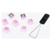 Hyperx KEYBOARD ACC KEYCAPS GAMING/PINK 519U0AA#ABA HYPERX