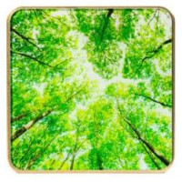 Airvalent SMART HOME AIR QUALITY SENSOR/GOLD/TREE AIRV-TREE AIRVALENT
