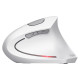 Trust MOUSE USB OPTICAL WRL VERTO/ERGONOMIC WHITE 25132 TRUST