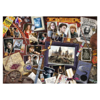 Trefl HARRY POTTER Puzle Harijs Poters, 500 gab.