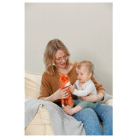 Baby Born Lelle mazuļiem Funny Fox, 26 cm
