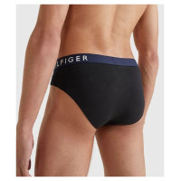 Tommy Hilfiger Brief M panties UM0UM01227 (S)