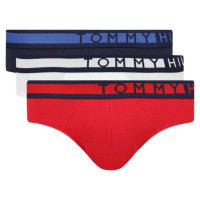 Tommy Hilfiger Brief M panties UM0UM01227 (S)
