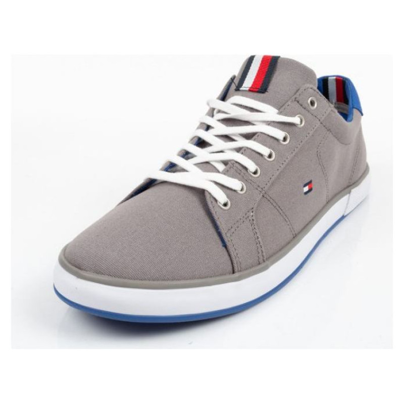 Tommy Hilfiger M FM0FM00596039 sneakers (40)