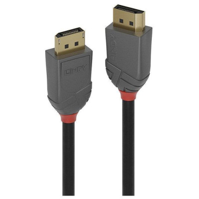 Lindy CABLE DISPLAY PORT 2M/ANTHRA 36482 LINDY