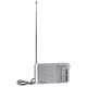 Panasonic RADIO PLAYER/RF-P150DEG-S PANASONIC