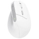 Trust MOUSE USB OPTICAL WRL BAYO II/ERGO WHT 25398 TRUST