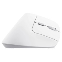 Trust MOUSE USB OPTICAL WRL BAYO II/ERGO WHT 25398 TRUST