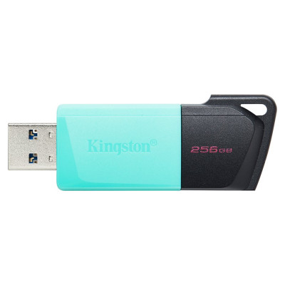 Kingston 256GB USB3.2 Gen1 DataTraveler Exodia M (Black + Teal)