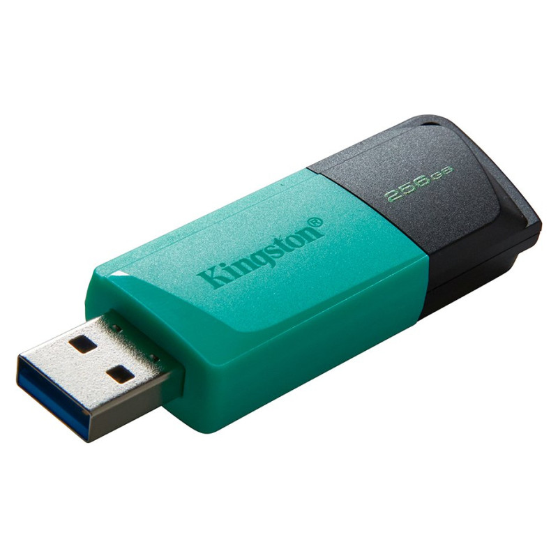 Kingston 256GB USB3.2 Gen1 DataTraveler Exodia M (Black + Teal)