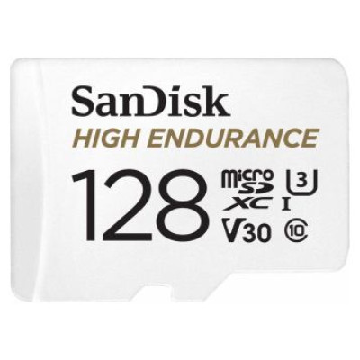 Sandisk High Endurance Video Monitoring 128GB