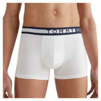 Tommy Hilfiger 3P Trunk M underwear UM0UM01234 (M)
