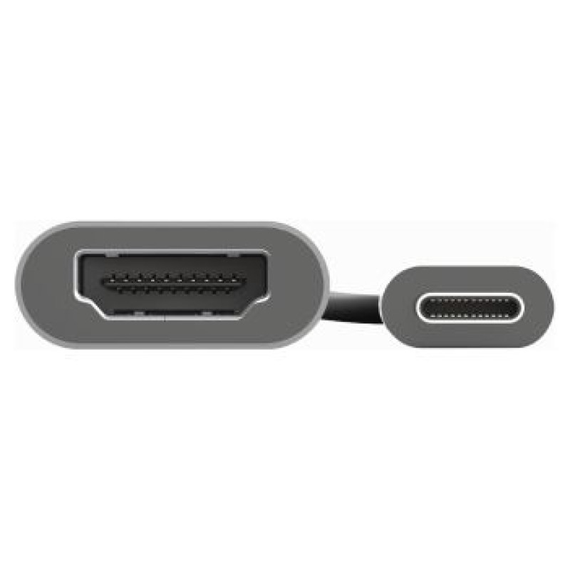 Trust Adapteris Trust Dalyx USB-C to HDMI Silver