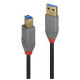 Lindy CABLE USB3.2 A-B 1M/ANTHRA 36741 LINDY