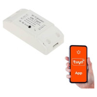 Genway SMART HOME WIFI SMART RELAY/ATLO-B1-TUYA GENWAY