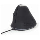 Gembird MOUSE USB OPTICAL SPACEGREY/ERGONOMIC MUS-ERGO-03 GEMBIRD