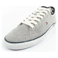 Tommy Hilfiger M FM0FM00401 shoes (45)