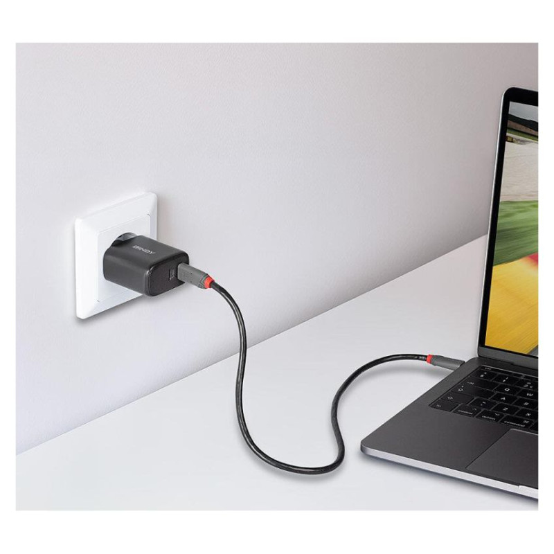 Lindy CHARGER WALL 65W/73438 LINDY