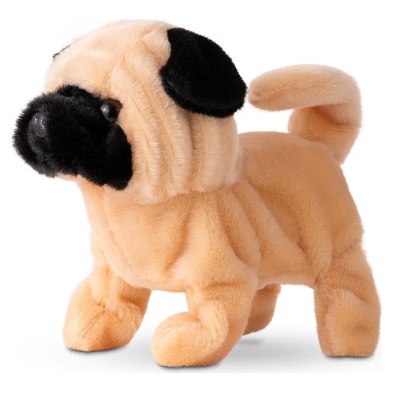 Pugs At Play Staigājo&scaron;s suns "Peanut"