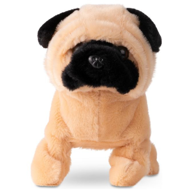 Pugs At Play Staigājo&scaron;s suns "Peanut"