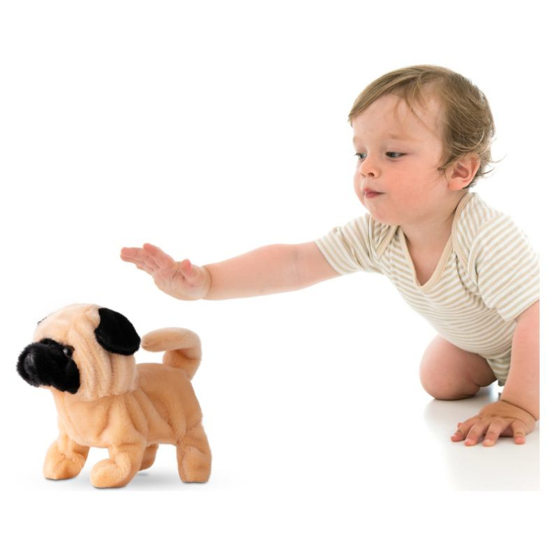 Pugs At Play Staigājo&scaron;s suns "Peanut"