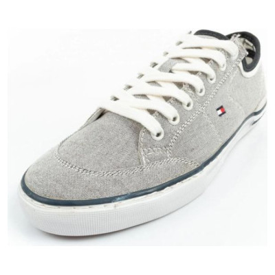 Tommy Hilfiger M FM0FM00401 shoes (43)