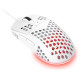 Trust MOUSE USB OPTICAL GXT928W/LIGHTWEIGHT WHITE 25389 TRUST