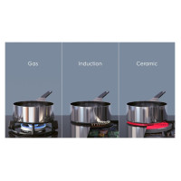 Electrolux indukcijas plīts virsma, melna - LIR60433B