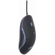 Gembird MOUSE USB OPTICAL ILLUMINATED/MUS-UL-02 GEMBIRD